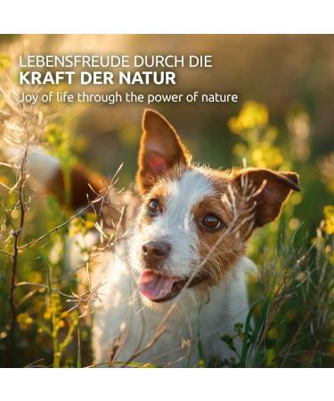 Aniforte Wersmix for Dogs 20g - Natural Herbal Support with Saponins Thyme Wormwood & Sage - Proven Alternative for 10 Years | International Shipping Available - Buy Online on GoSupps.com