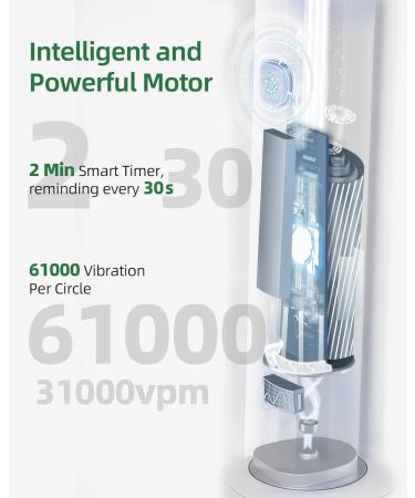 7am2m Sonic Electric Toothbrush with 6 Brush Heads for Adults and Kids Wireless Fast Charge One Charge for 60 Days 5 Modes with 2 Minutes Built in Smart Timer Electric Toothbrushes(Green) No Travel Case Green - Buy Online on GoSupps.com