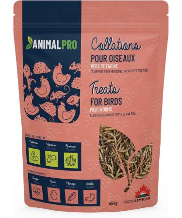 AnimalPro Mealworms 454 g (1 LB) Approx 17 000 Mealworms - Buy Online on GoSupps.com
