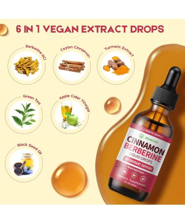 Berberine Drops with Ceylon Cinnamon Bitter Supplement,Berberine HCL Liquid Drops with Turmeric,Green Tea,Apple Cider Vinegar,Black Seed Oil for Overall Support & Digestive System 2 FL OZ 1 Pack - Buy Online on GoSupps.com