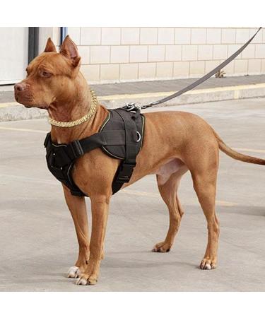 Cuban Connection Dog Collar - 17.7 Cuban Link Chain Alloy Diamond Gold Bling Jewelry for Dogs & Cats - Buy Online on GoSupps.com