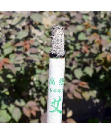 Buy BUNIQ Moxibustion PICTS - 10PC Pure Moxa Rolls for Traditional Meridian Massage | International Shipping Available - Buy Online on GoSupps.com