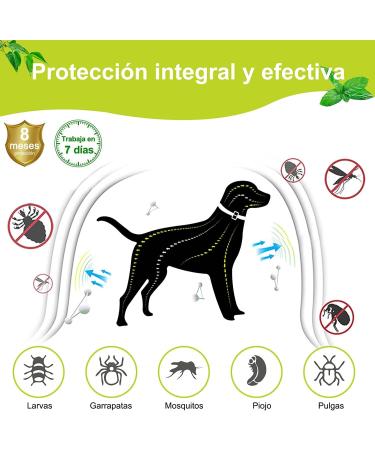 DEWEL 63.5cm Adjustable Waterproof Dog Collar - Effective Tick & Flea Prevention for Dogs & Cats - Buy Online on GoSupps.com