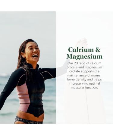 Global Healing Calcium and Magnesium Orotate Supplement - Bone Strength for Women and Men - Supports Teeth, Heart Health, Muscle Function - 120 Capsules - Buy Online on GoSupps.com