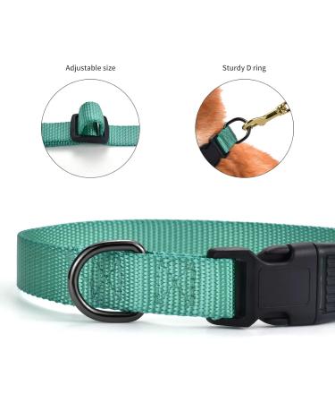 Audwud Thick Nylon Neck Band - Adjustable Dog Collar for All Sizes | Classic Design in Multiple Colors | Suitable for Small Medium & Large Dogs - Buy Online on GoSupps.com