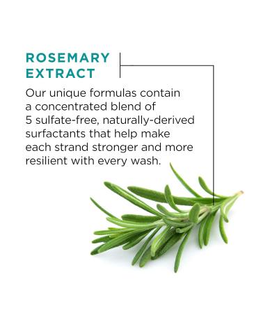 L'Oreal Paris EverStrong Thickening Shampoo - Rosemary Scent 8.5 Fl Oz | Optimal Hair Care for Stronger Thicker Hair - Shop Internationally - Buy Online on GoSupps.com