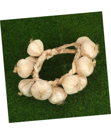 ABOOFAN 4pcs Simulated Garlic Hanging Skewers Lanyard Artificial Vegetable Model Photo Props Accessories - Buy Online on GoSupps.com