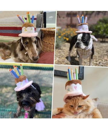 LESYPET Dog Birthday Hat  Pet Birthday Cake Hat with Candle for Dog Cat Party Costume  Pink S Birthday Hat-S - Buy Online on GoSupps.com