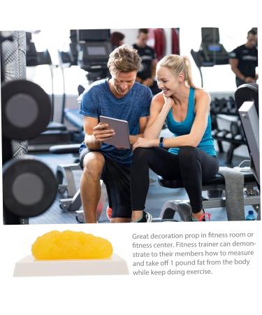 Healvian 4pcs Fat Model Models Fitness Glass Bottles with Lids Manquin Demonstration Device Module Body Fat - Buy Online on GoSupps.com