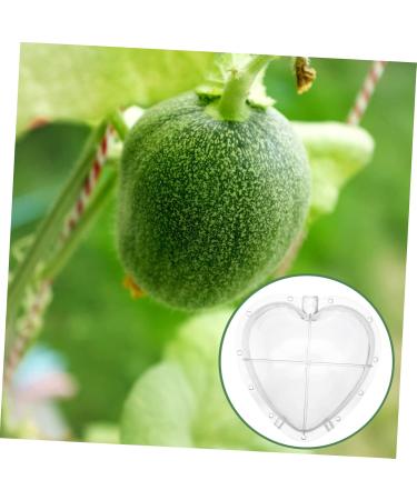 CIYODO Fruit Forming Mold Heart Shaped Watermelon Molds Square Watermelon Fruit Growth Tools Garden Tools Modeling - Buy Online on GoSupps.com