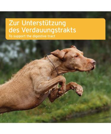 AniForte Stomach & Intestines Dog Tablets 90 Pieces for Acute Diarrhea & Gastrointestinal Health | Prebiotics for Intestinal Flora - Buy Online on GoSupps.com