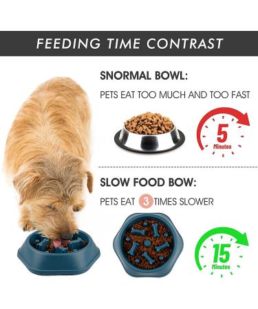 DPoegts Slow Feeder Dog Bowl - Anti-Gulping Interactive Food and Water Bowl for Small/Medium Dogs (Bone-Blue) - Buy Online on GoSupps.com