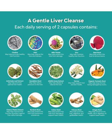 Liver Support Supplement with NAC - Herbal Liver Supplement with N Acetyl Cysteine Silymarin Milk Thistle Extract Dandelion Root Artichoke Extract Choline Bitartrate and Berberine for Liver Cleanse - Buy Online on GoSupps.com