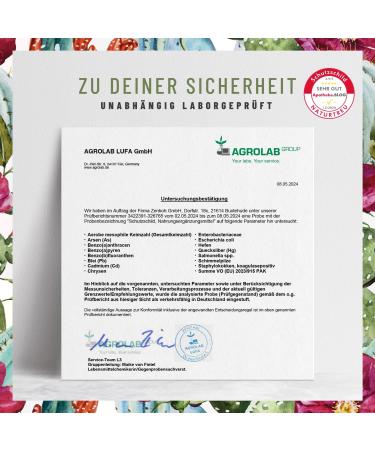 Immune System Complex - 500mg Echinacea with Vitamin C Zinc Selenium & L-Histidine - Vegan No Additives - 120 Capsules for 60 Days - Buy Online on GoSupps.com