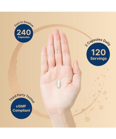 12-in-1 Magnesium Complex 1000mg 4-Months Supply Magnesium Glycinate Citrate Taurate Malate & More High Absorption Formula for Men & Women Chelated & Purified 240 Capsules - Buy Online on GoSupps.com