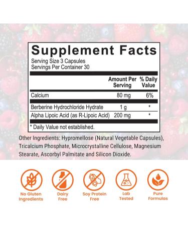 Herbal Bundle by Dr. Rajsree Oregano Oil 60 Softgels Allicidin 60 Softgels and Berberine Pro 90 Capsules - Buy Online on GoSupps.com