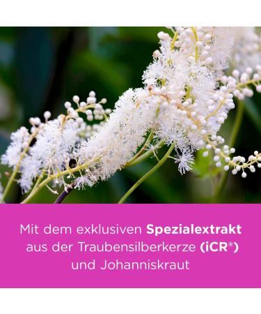 Remifemin Plus St. John's Wort 2x100 Tablets - Hormone-Free Natural Relief for Menopause - Stronger Mental Clarity - 200 Vegetable Pills - Buy Online on GoSupps.com