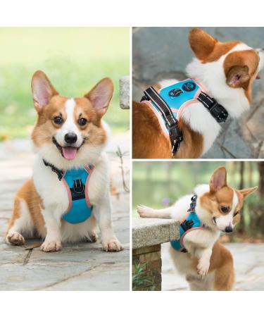 Phoepet Reflective Dog Harness with Handle | Durable M Size - Blue | 2 Metal Rings 3 Buckles Comfortable Fit for 14-20 lbs (Chest 16-28) - Buy Online on GoSupps.com