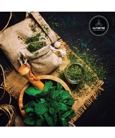 Naturevibe Botanicals Mint Powder 8oz - Pure and Refreshing Flavor Enhancer - Buy Online on GoSupps.com