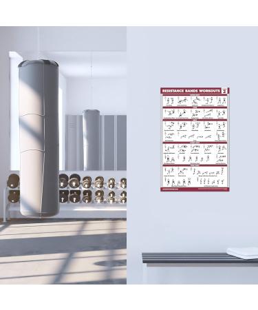 Palace Learning 3-Pack - Resistance Tapes & Bodyweight Exercises Poster Set | 18x24 Laminated Training Tables for Home Workouts - Buy Online on GoSupps.com