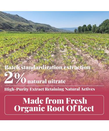 Organic Beetroot Extract Powder - 2% Natural Nitrate Nitric Oxide Supplement- Pure Whole Root Superfood Non-GMO & Gluten-Free - Support Blood Pressure Management Sports Endurance - Buy Online on GoSupps.com