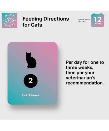 Cranberry Chews for Cats - UTI, Bladder, Kidney & Urinary Tract Support - 60 Soft Treats with Cranberry Extract, Echinacea & Vitamin C - Buy Online on GoSupps.com