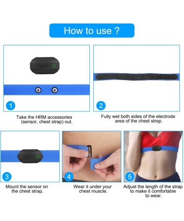 Coospo Bluetooth Heart Rate Monitor Chest Strap - H808s Black-Blue | ANT+ BLE HRM for Running, Cycling, Gym | IP67 Waterproof - Buy Online on GoSupps.com