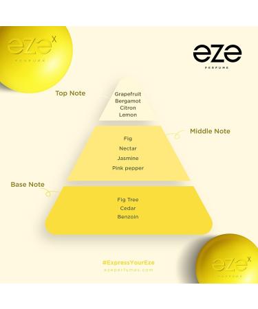 VIBE 30ml EDP Premium Long Lasting Fragrance | Luxury Intense Scent for Unisex | Affordable Perfume | Vegan Perfume | Cruelty Free | Skin Safe | Travel Friendly Perfume - Buy Online on GoSupps.com