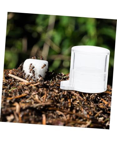 Sosoport 2pcs Ant Water Feeder Ant Water Bowl Mini Ant Feeder Ant Nest Water Feeder Water Bowl for Ants Insect Water Bowl Transparent Ant Water Feeding Bowl Insect Water Feeder - Buy Online on GoSupps.com
