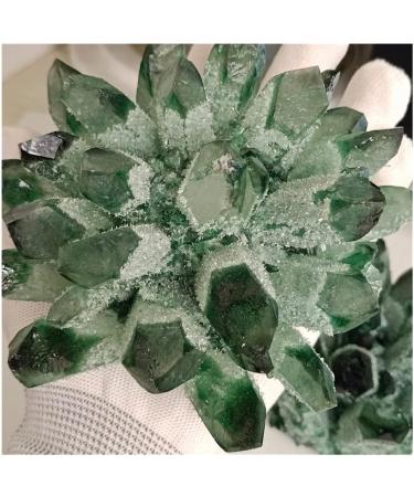 Natural Crystal Rough Crystal 750-850g 1pc Natural Green Phantom Quartz Crystal Cluster Gemstone Geode Adornment Suitable for Home Office Decoration - Buy Online on GoSupps.com