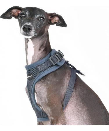 Buy Ritefit Medium Gray Dishes - Stylish & Durable Tableware for International Shipping - Buy Online on GoSupps.com