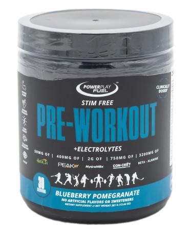 POWER PLAY FUEL All Natural Pre-Workout Powder with Electrolytes - Stim Free, Naturally Sweetened - High Powered & Loaded for Performance, Pumps, Focus & Energy - Blueberry Pomegranate, 30 Servings