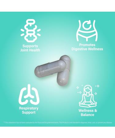 NANOWELL Boswellia Serrata with G-FOS - 98% Boswellic Acid - Supports Joint & Mobility Health - 180 Vegan Capsules 180 Day Supply 180 Count (Pack of 1) - Buy Online on GoSupps.com