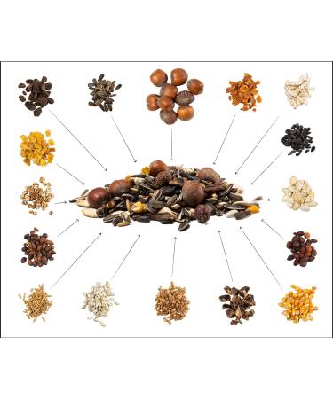 Canifee Squirrel Food 1kg - Species-Appropriate Wildlife Feed Mix with Hazelnuts - Year-Round Nutrition for All Squirrels - Premium Quality - Buy Online on GoSupps.com