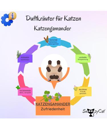 SNOOZYCAT 10 Pack Refills with 100% Natural Catnip with Catnip Also Called Catnip Herbal Mix for Cat Cushion Fillable Handmade - Buy Online on GoSupps.com