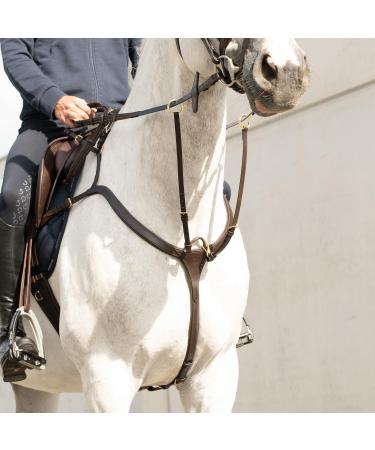 Buy Sunride Front Stuff Ascot for Horses - Real Leather Martingal (5-Point & 3-Point) - Quick Threading Rings - Full Brown - Buy Online on GoSupps.com