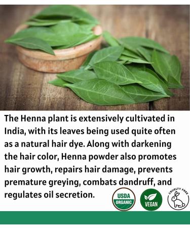 USDA Certified Organic Henna Powder for Hair Dye - 8oz | Natural Lawsonia Inermis Mehndi Powder by Proud Planet - Buy Online on GoSupps.com