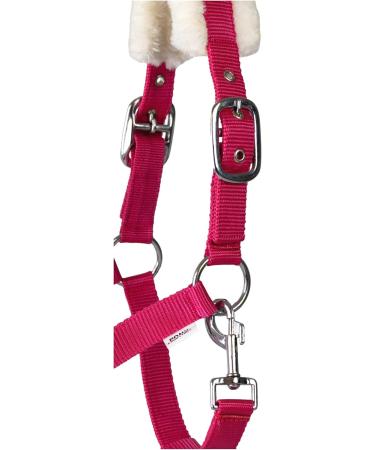 Buy RL24 Halter with Plush Padding - BASICLINE | Available in 6 Colors for Shetland Pony Thoroughbred Warmblood - Magenta for Thoroughbred - Buy Online on GoSupps.com