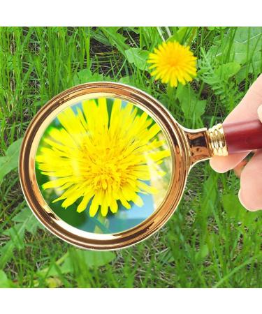 20X Handheld Reading Magnifier Antique Style Great for Seniors Hd Optical Lens/Durable/Removable/Gold-Plated Plastic Frame Magnifying Glass-90Mm Lofty Ambition - Buy Online on GoSupps.com