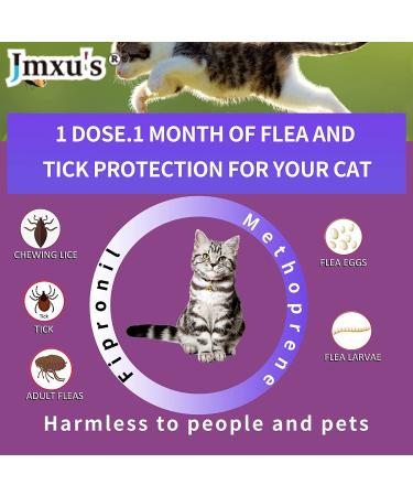 Fipronil Cat Flea & Tick Control - Long-Lasting Treatment for Kittens - 3 Doses - Buy Online on GoSupps.com