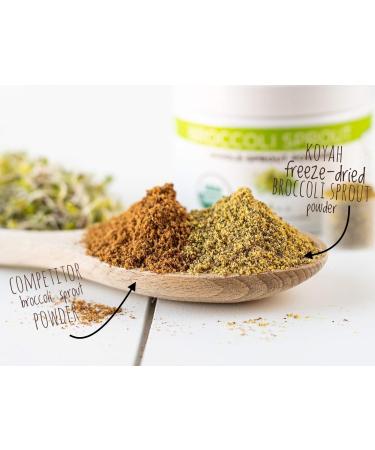 KOYAH - Organic Broccoli Sprout Powder (1 Scoop 1/4 Cup Sprouts): 36 Servings Freeze-dried Tested for Active Myrosinase and Glucoraphanin (Sulforaphane Glucosinolate) - Buy Online on GoSupps.com