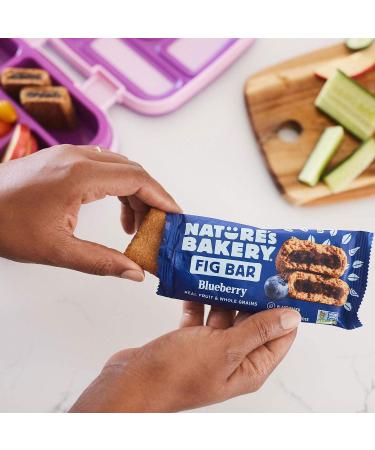 Nature's Bakery Whole Wheat Fig Bars - 24 Twin Pack, 2oz per Fig, 24 Count - Buy Online on GoSupps.com