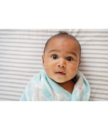 Ely's & Co. Waterproof Bassinet Sheet 2 Pack - Taupe Splash & Stripes - 32 X16 X3 - Unisex for Baby Boy and Girl - Buy Online on GoSupps.com