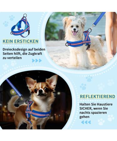 Eyein No-Pull Dog Harness with Leash - Adjustable Reflective Padded for Puppies Small & Large Dogs Cats - Dark Blue XS - Buy Online on GoSupps.com