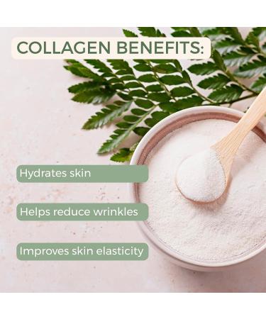 RACHEL Rachel Roy Collagen Face Cream - Anti-Aging Lotion with Shea Oil & Vitamin E | Moisturizing Cream to Repair Wrinkles & Firm Skin | 8.5 FL OZ - Buy Online on GoSupps.com