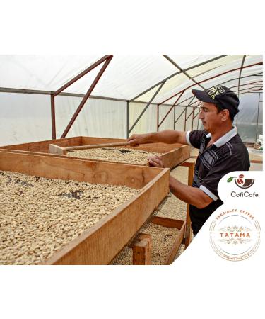 CofiCafe 6 Lbs Specialty Colombian Unroasted Green Coffee - Tatama Valle del Cauca (SCA 87) - Buy Online on GoSupps.com