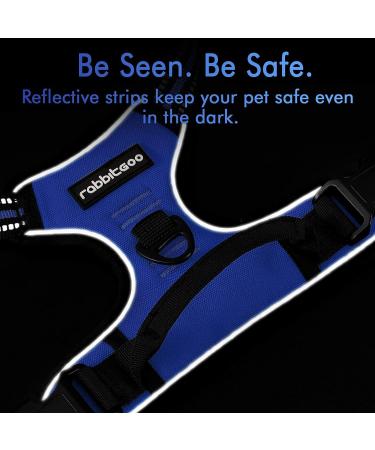 Rabbitgoo Adjustable Dog Harness for Small Dogs - No Pull Control Breast Harness with Reflex Stripes Breathable Design - XS Blue (1 Pack) - Buy Online on GoSupps.com