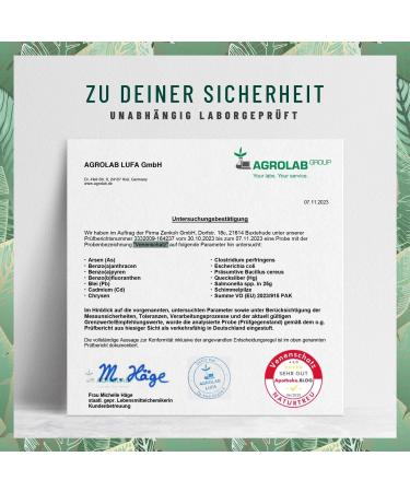 Ruting Stone Clover Complex 120 Capsules - High Dose 500mg Rutin & 394mg Stone Clover - Vegan Vein Support Alternative to Venel Tablets - Buy Online on GoSupps.com