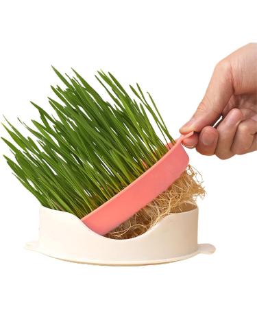  Tebinzi Catnip Cup Catnip Planter Hydroponic Catnip Culture - Cultivation Box Planting Soiless Fish Shape with Mesh Tray for Tebinzi - Buy Online on GoSupps.com