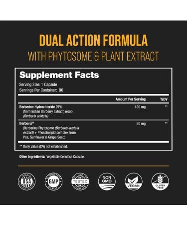 NutraChamps Complete Bone & Metabolic Support : Magnesium Zinc D3 & Berberine Duo - Buy Online on GoSupps.com